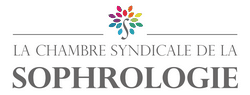 Logo CCS