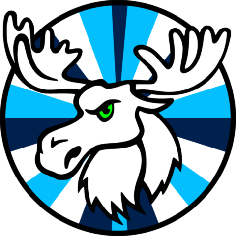 Logo WAPITEAM